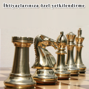 yetkilendirme